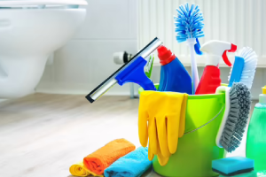 Messie Reinigung Salzgitter